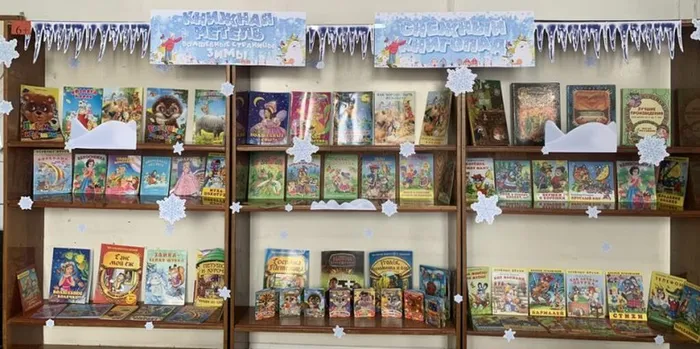 Книжная метель