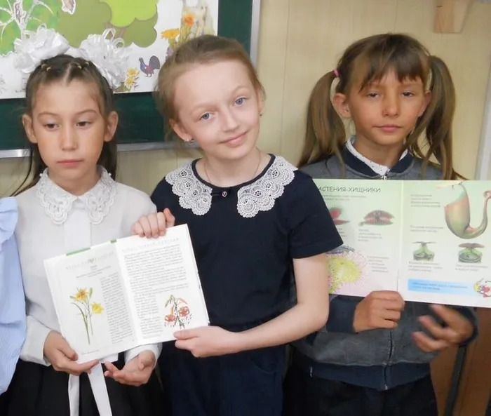 Путешествие в мир первоцветов