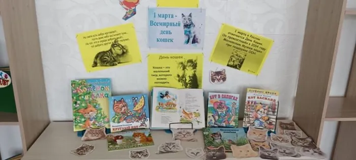 Наши пушистые